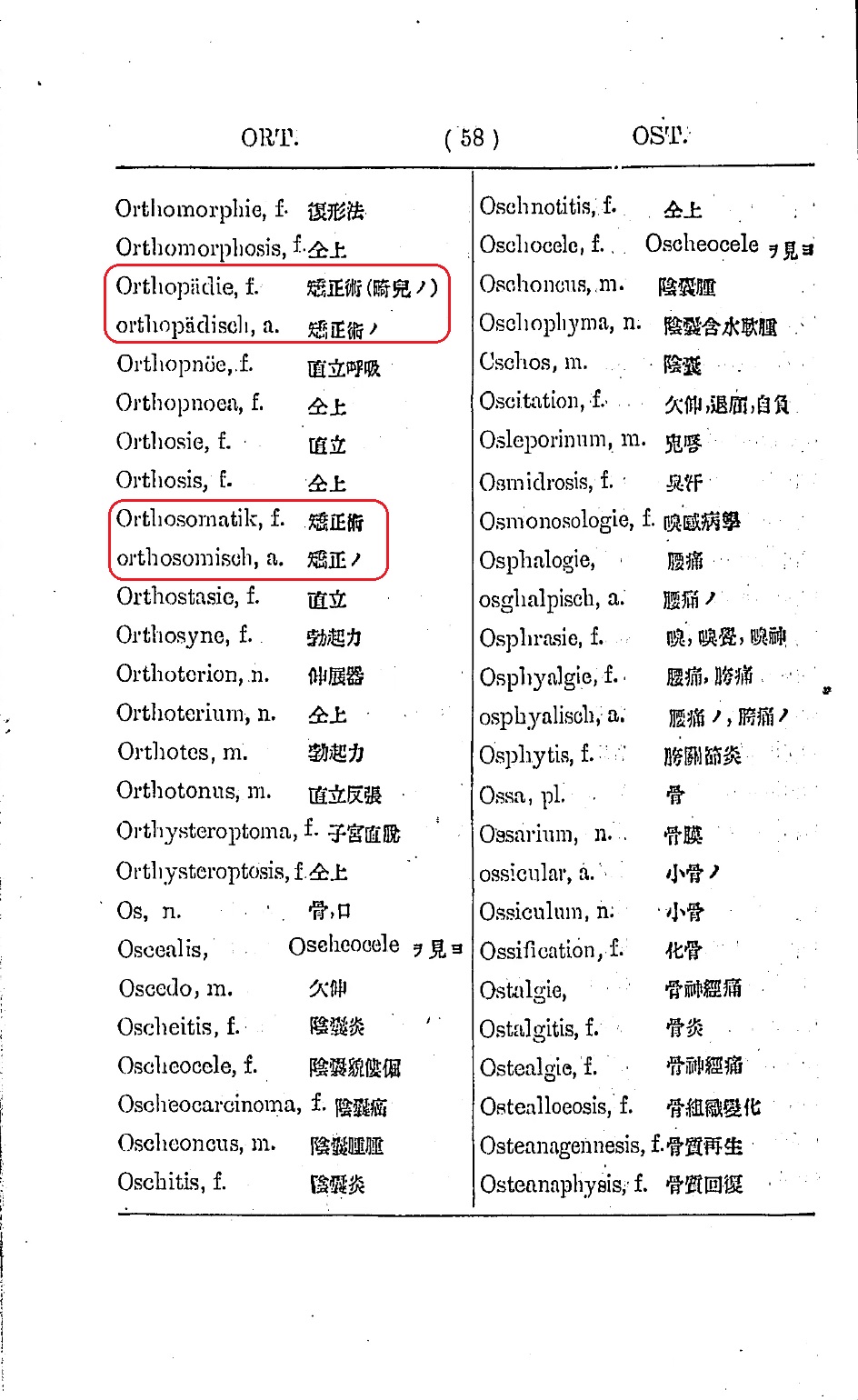 1890_独和字書大全