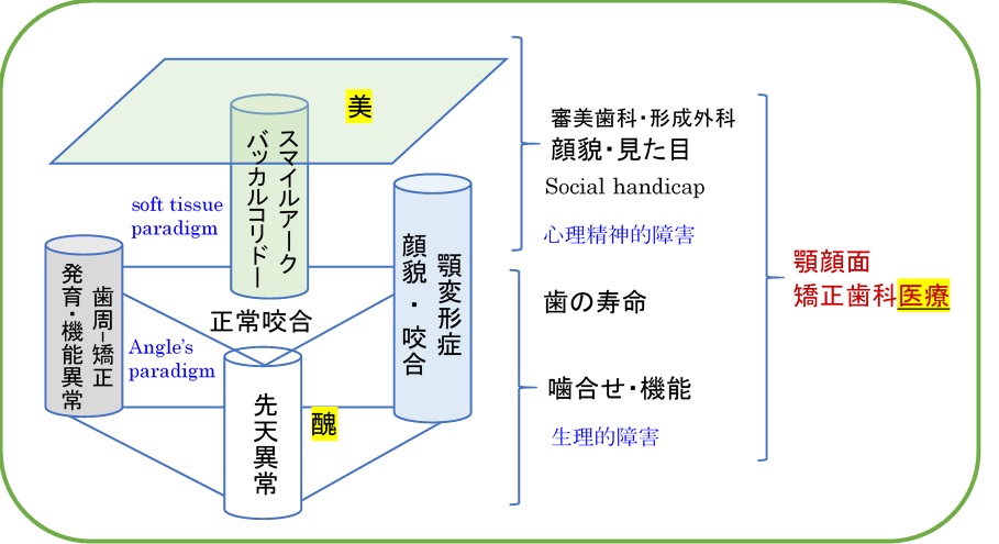 矯正歯科医療の範囲