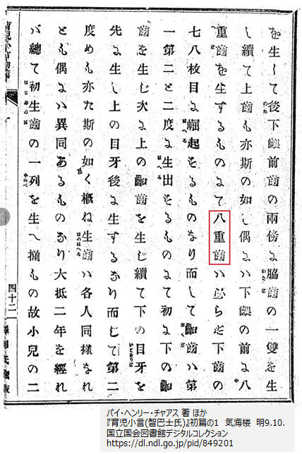 日本の歯科矯正医療の歴史