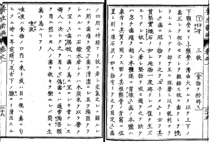 1872_�{���V�_2