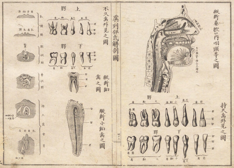 1872_���ɉ�U�P�ƚ�_2